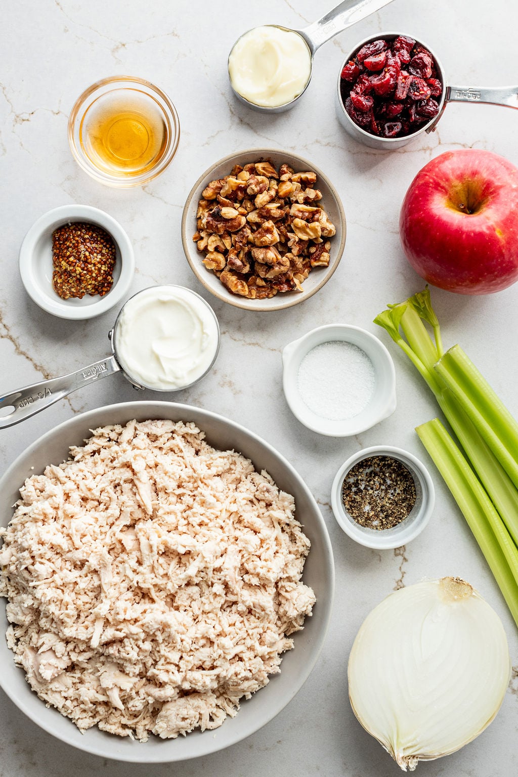 Bowls of shredded chicken, nuts, salt, pepper, mayonnaise, yogurt, and cranberries, next to celery, and apple, and half an onion.