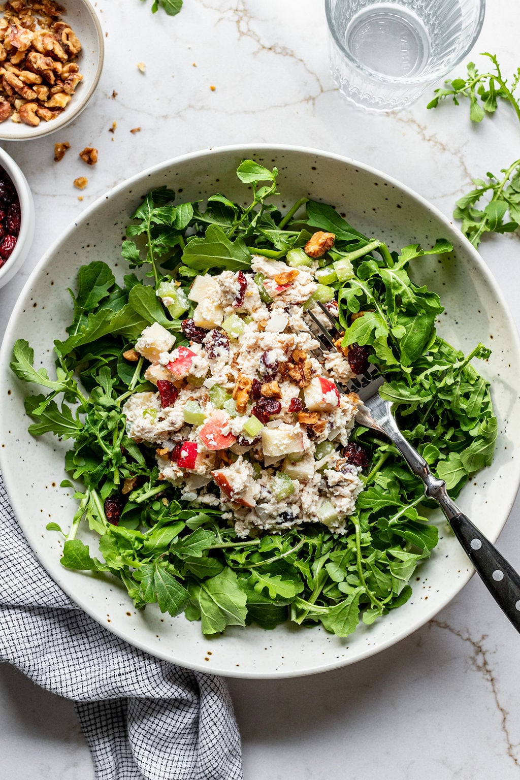 A creamy chicken salad topped with cranberries and walnuts on a few handfuls of small leafy greens.