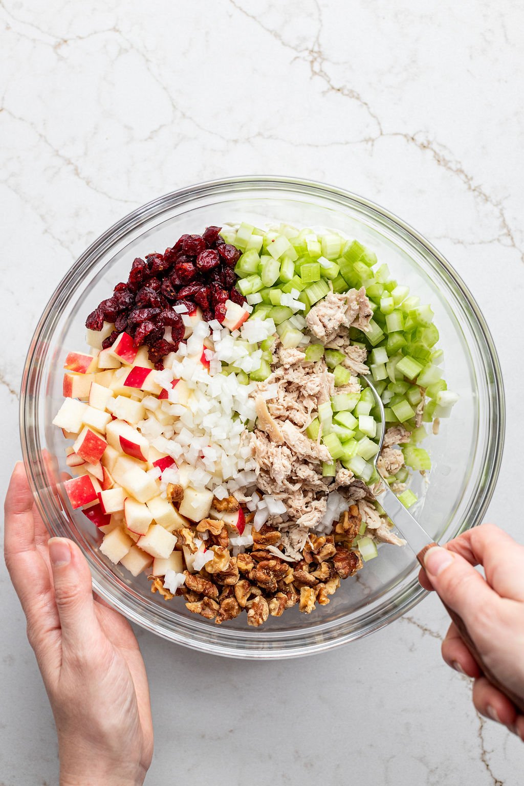 A hand mixing apples, onion, celery, dried cranberries, walnuts, and shredded chicken in a mixing bowl with a large spoon.