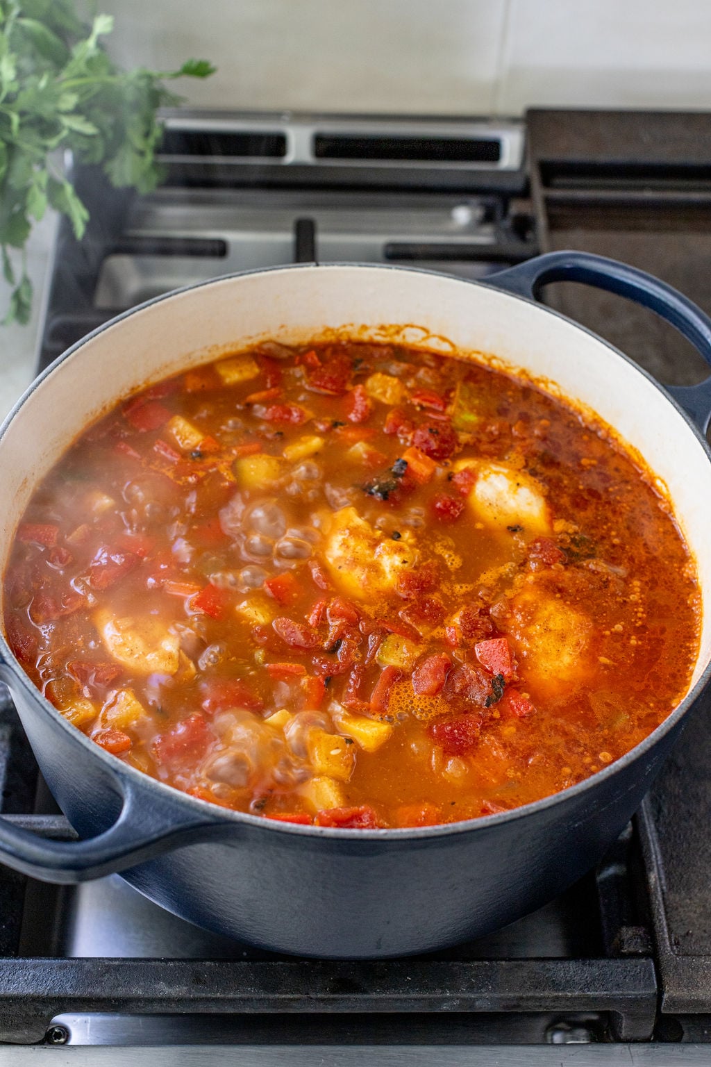 A pot of tomato-based stew with chunks of chicken and vegetables simmering on a stovetop.