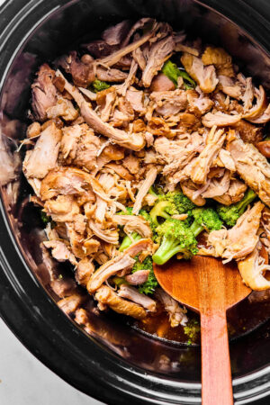 60+ Dump and Go Slow Cooker Recipes - Real Food Whole Life