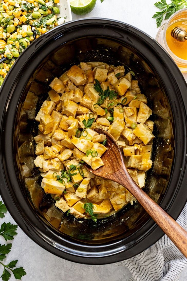 60+ Dump and Go Slow Cooker Recipes - Real Food Whole Life