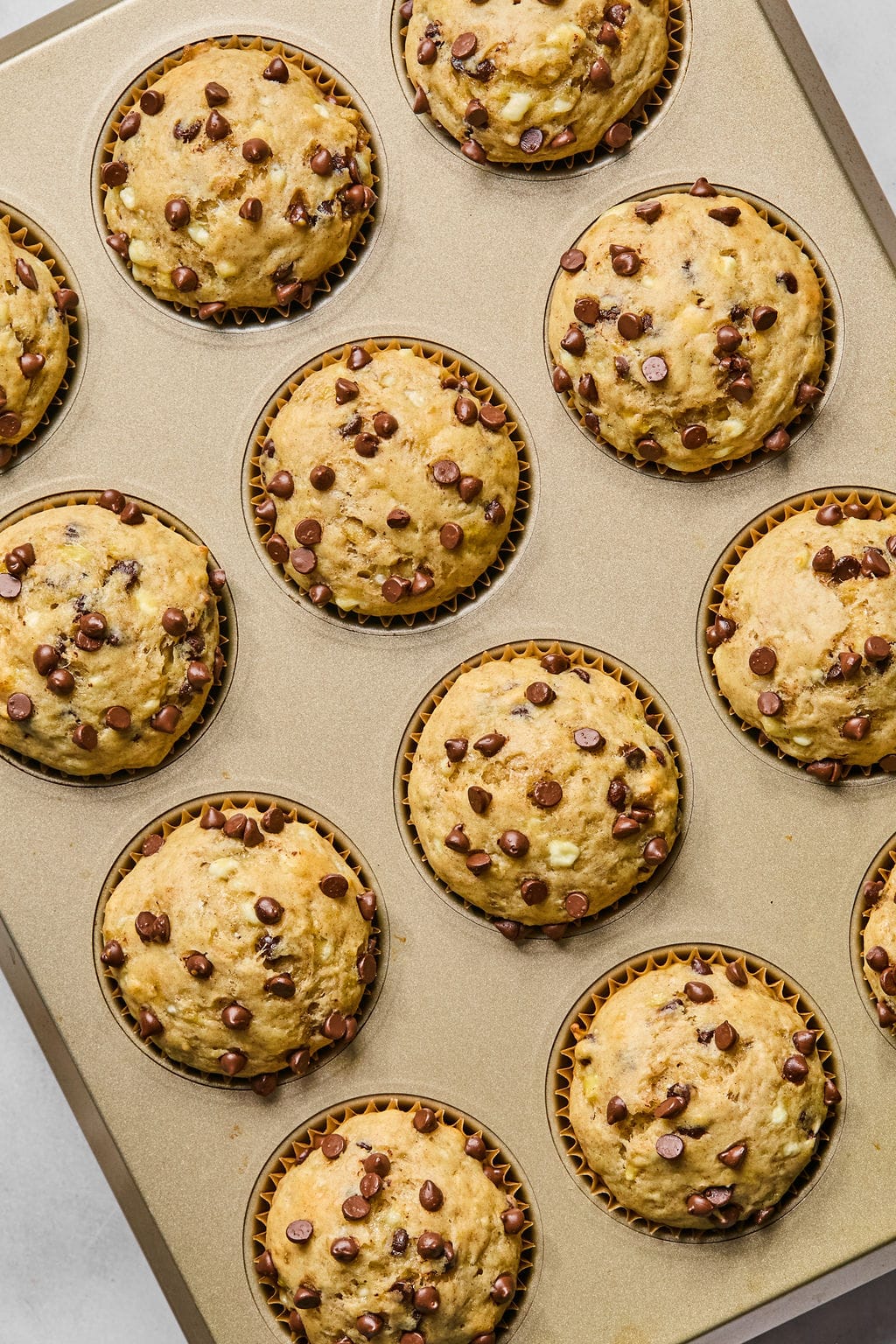 A muffin tin filled with twelve baked chocolate chip muffins, each topped with scattered chocolate chips, viewed from above.